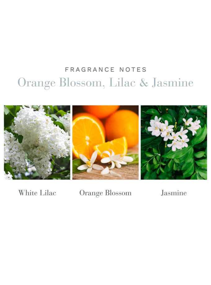 Antica Farmacista Orange Blossom, Lilac & Jasmine Body Moisturiser